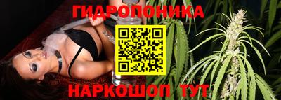 дмт Лесосибирск