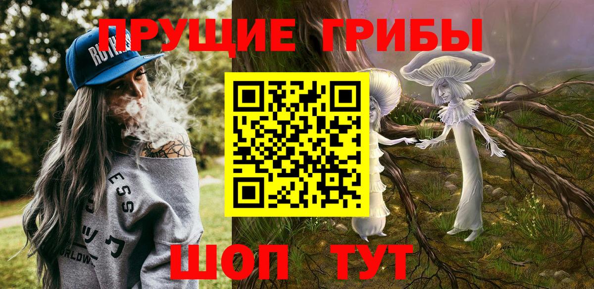 Йошкар-Ола  Галлюциногенные грибы Psilocybine cubensis  Вход с VPN  Галлюциногенные грибы Psilocybe 