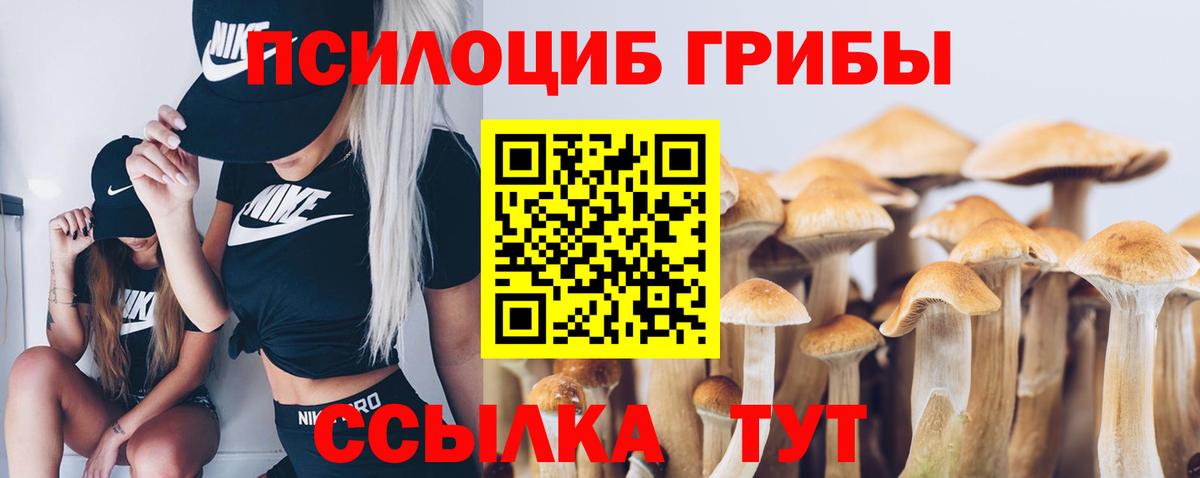 Галлюциногенные грибы прущие грибы Йошкар-Ола