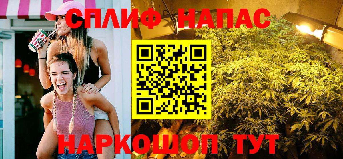 Канабис планчик Йошкар-Ола